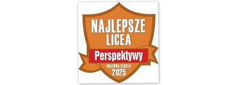 BRĄZOWA SZKOŁA 2025