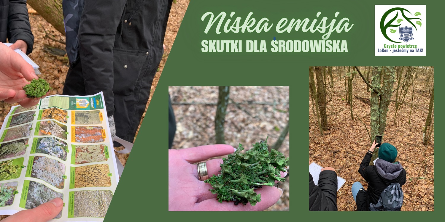 „Niska emisja – skutki dla środowiska” – warsztaty terenowe